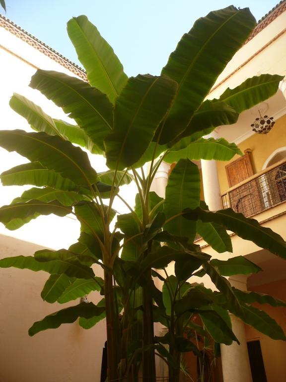 Riad Ker Saada Marrakesh Luaran gambar